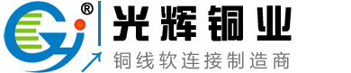 光辉编织带